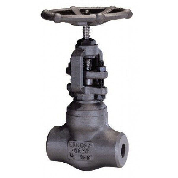 Globe Valve