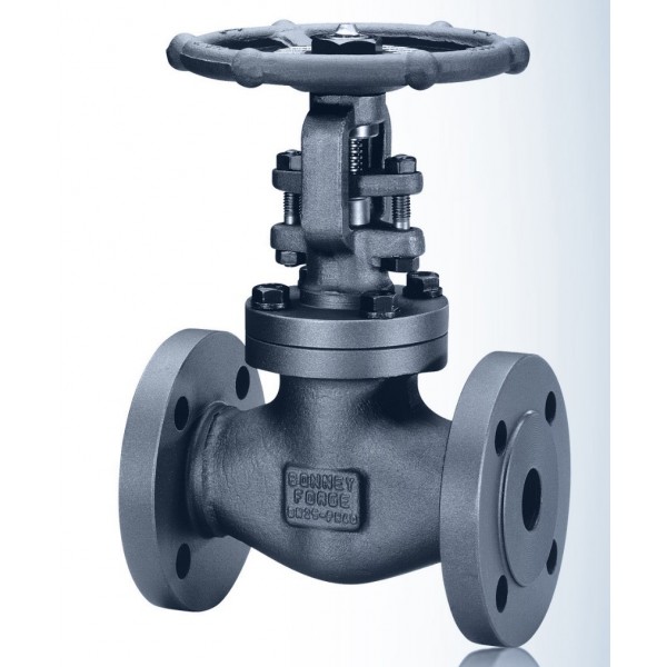 Globe Valve